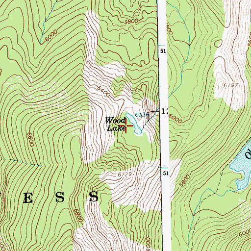 Topographic Map of Wood Lake, ID
