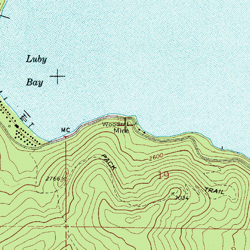 Topographic Map of Woodrat Mine, ID