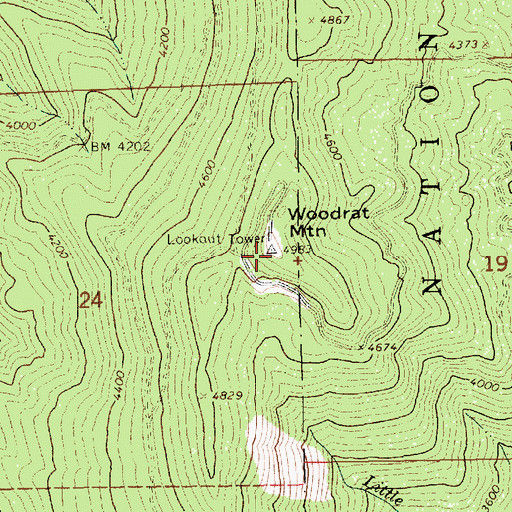 Topographic Map of Woodrat Mountain, ID