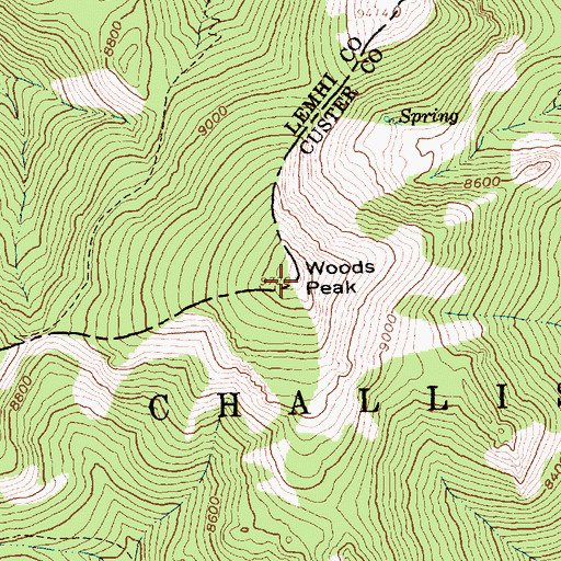 Topographic Map of Woods Peak, ID