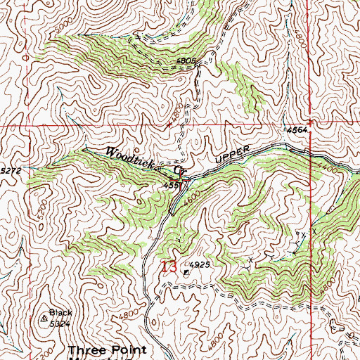 Topographic Map of Woodtick Creek, ID