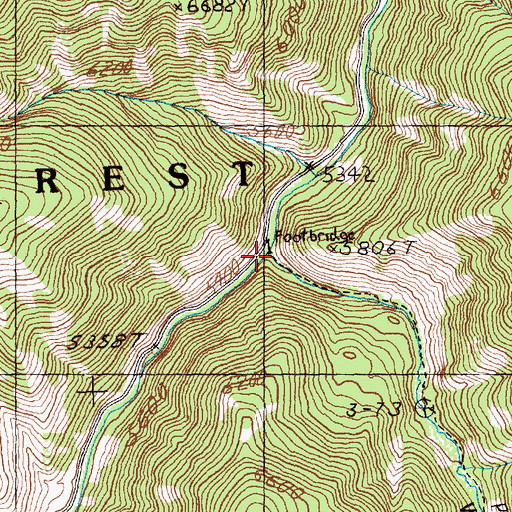 Topographic Map of Woodtick Creek, ID