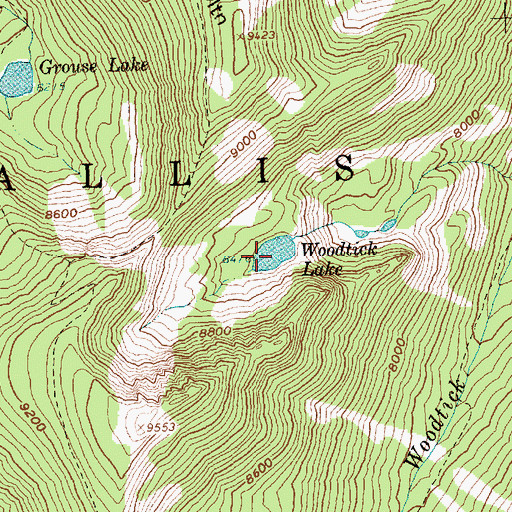 Topographic Map of Woodtick Lake, ID