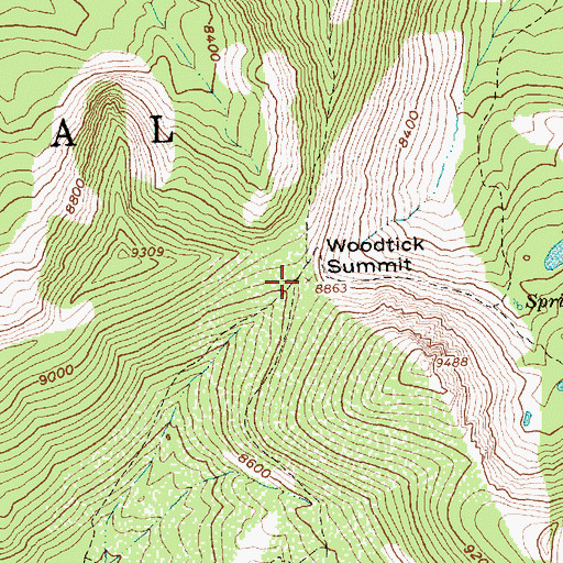 Topographic Map of Woodtick Summit, ID
