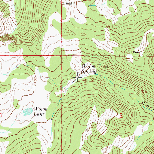 Topographic Map of Worm Creek Spring, ID