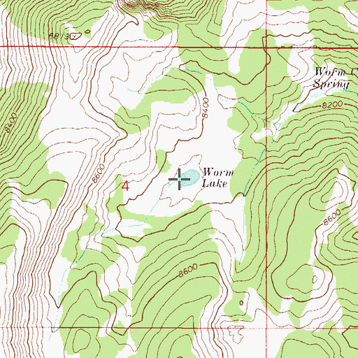Topographic Map of Worm Lake, ID