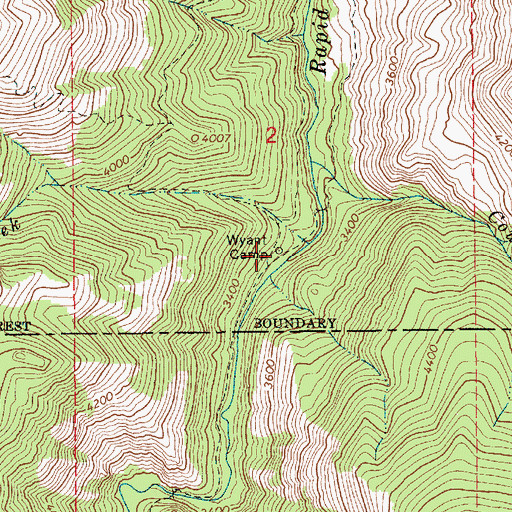 Topographic Map of Wyant Camp, ID