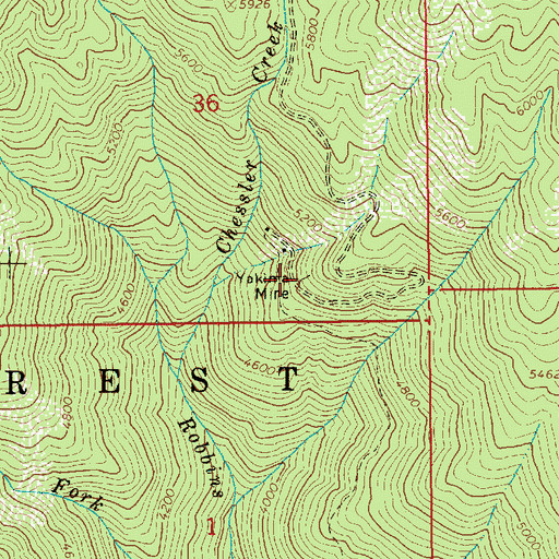 Topographic Map of Yakima Mine, ID