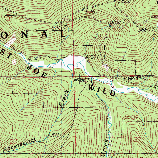 Topographic Map of Yankee Bar Creek, ID