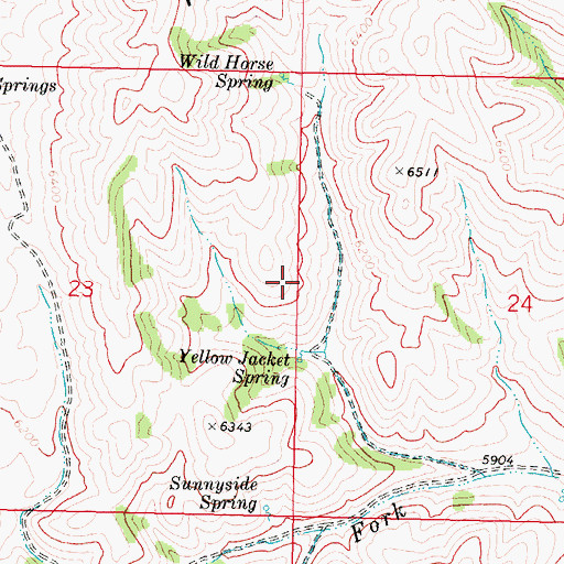 Topographic Map of Yellow Jacket Spring, ID