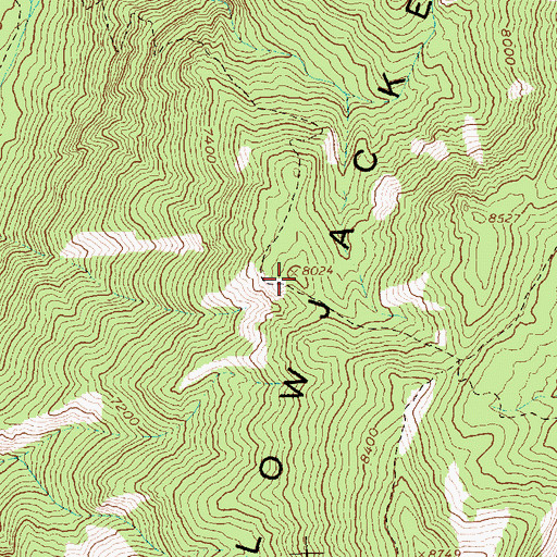 Topographic Map of Yellowjacket Mountains, ID