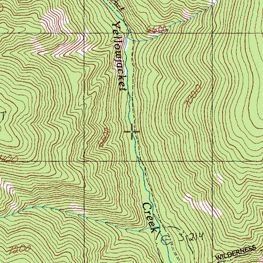 Topographic Map of Yellowjacket Ranger Station, ID