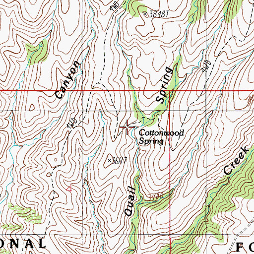 Topographic Map of Cottonwood Spring, AZ