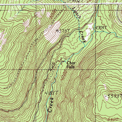 Topographic Map of Char Falls, ID