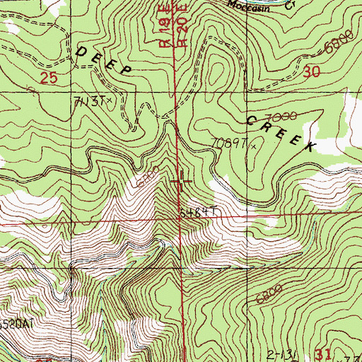 Topographic Map of Salmon National Forest, ID