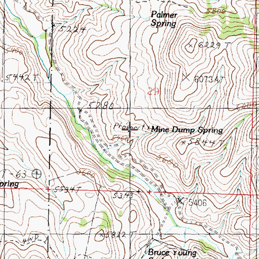 Topographic Map of Mine Dump Spring, ID
