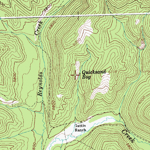 Topographic Map of Quicksand Bog, ID