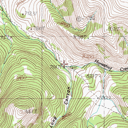 Topographic Map of Long Canyon, ID