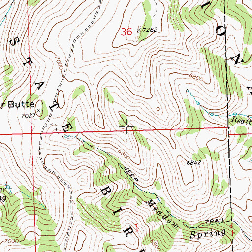 Topographic Map of Beatty Spring, ID