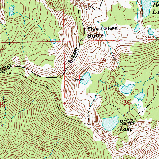 Topographic Map of Gold Lake, ID
