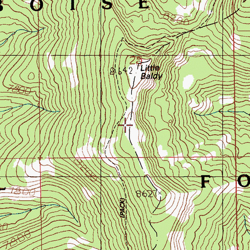 Topographic Map of Little Baldy, ID