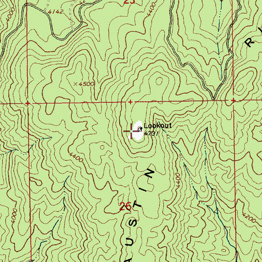 Topographic Map of Austin Ridge Lookout, ID