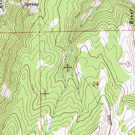 Topographic Map of Roaring River Trail, ID