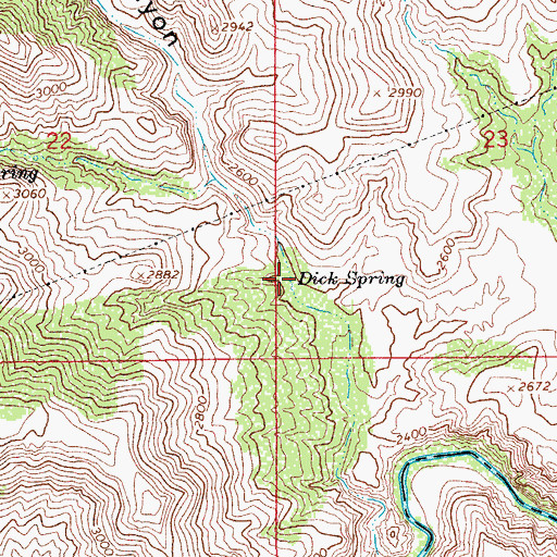 Topographic Map of Dick Spring, AZ