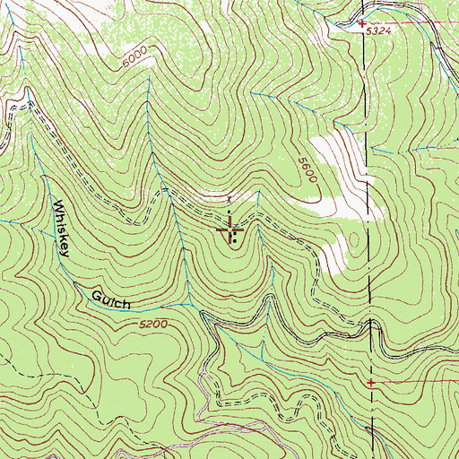 Topographic Map of Elk City Mining Company, ID