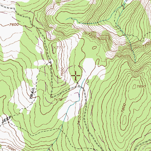 Topographic Map of Wilson Cow Camp, ID