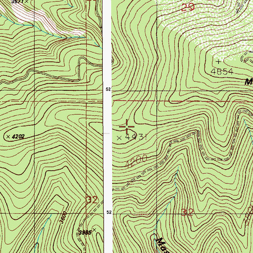 Topographic Map of Mason Saddle, ID