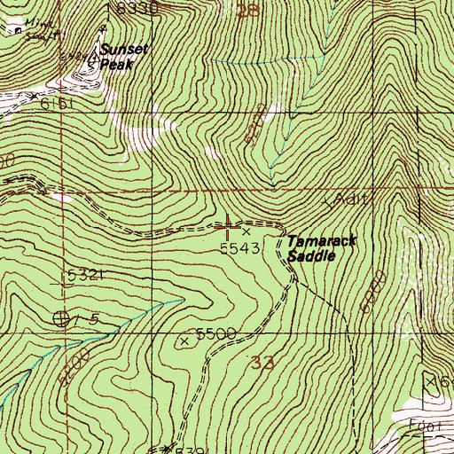 Topographic Map of Tamarack Saddle, ID