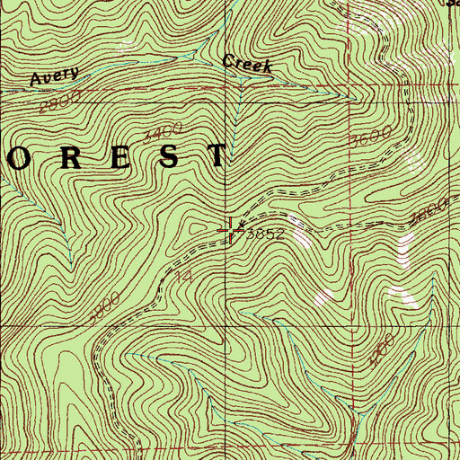 Topographic Map of Avery Creek Nocelly Gulch Saddle, ID