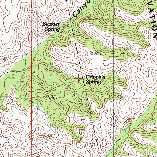 Topographic Map of Dripping Spring, AZ