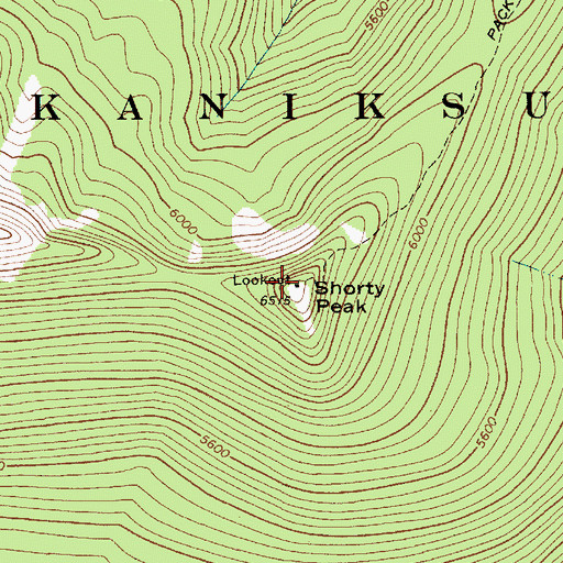 Topographic Map of Shorty Peak Lookout, ID