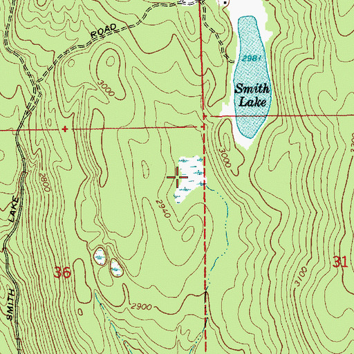 Topographic Map of Deer Lake Swamp, ID