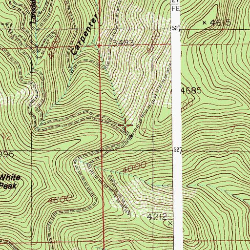 Topographic Map of White Creek Saddle, ID