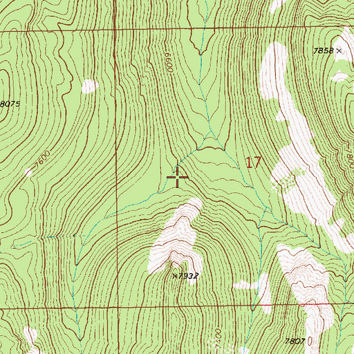Topographic Map of Fourmile Creek Trail, ID