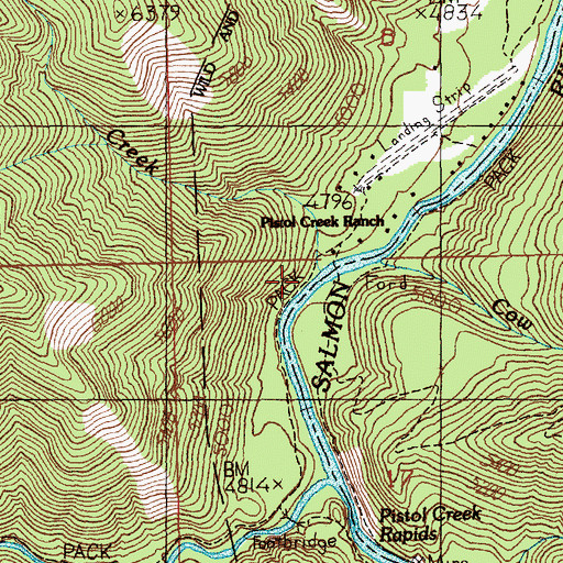 Topographic Map of Pistol Creek Rapids, ID