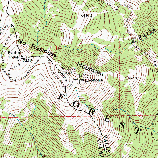 Topographic Map of No Business Mountain Lookout, ID
