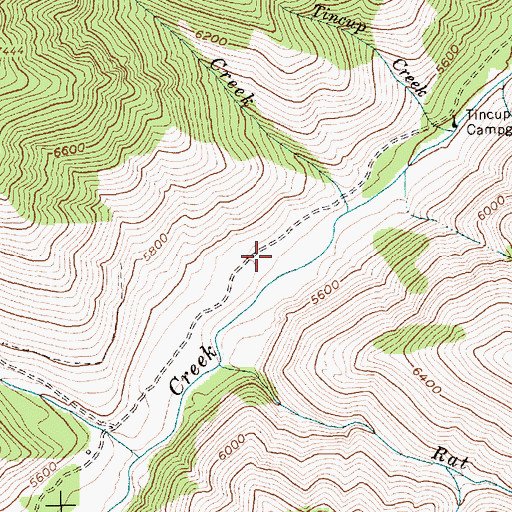 Topographic Map of Upper Loon Creek USFS Airport, ID