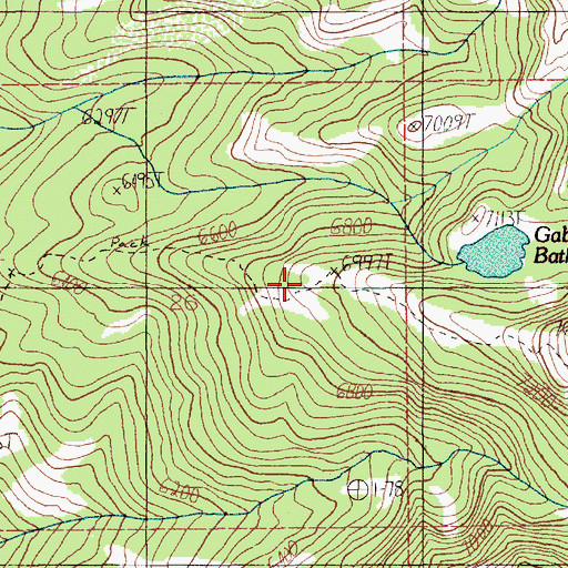 Topographic Map of Gabes Peak Trail, ID