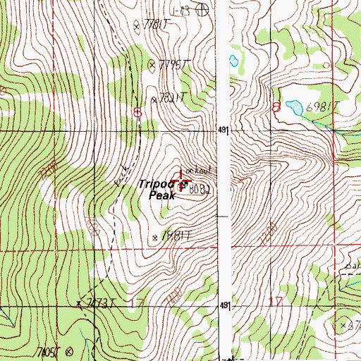 Topographic Map of Tripod Peak Lookout, ID