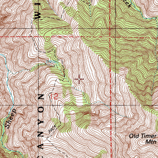 Topographic Map of Cougar Basin, ID