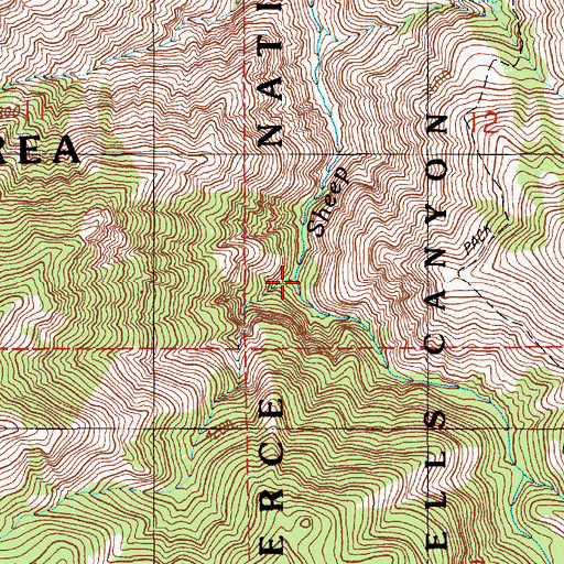 Topographic Map of Bear Trap Creek, ID