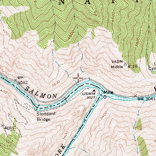 Topographic Map of Middle Fork Campground, ID