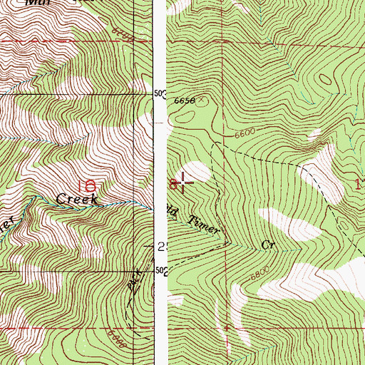 Topographic Map of Old Timer Mine, ID