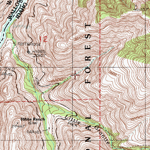 Topographic Map of Coon Gulch, ID