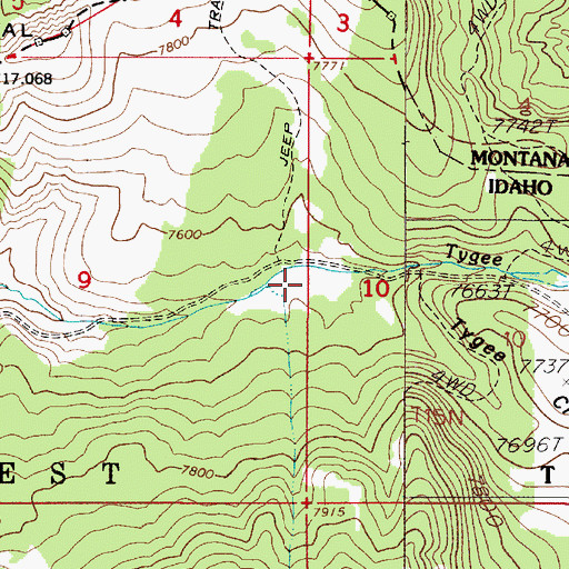 Topographic Map of Tygee Creek Basin, ID