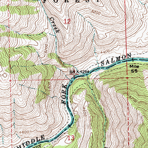 Topographic Map of Cameron Campsite, ID